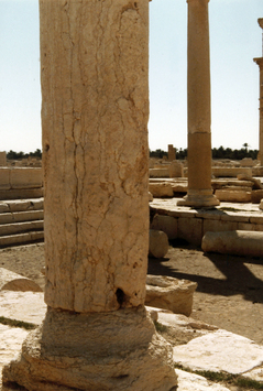 Vorschaubild Palmyra, Diokletiansthermen